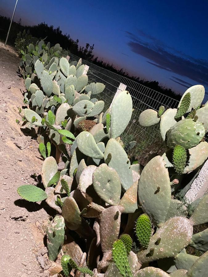 Verde Oliva Residence Ispica Eksteriør bilde